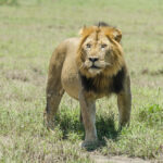 110928_120240_MPM8759